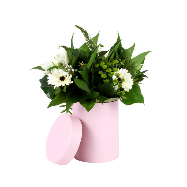 PK Photo Hatbox Pastel Pink