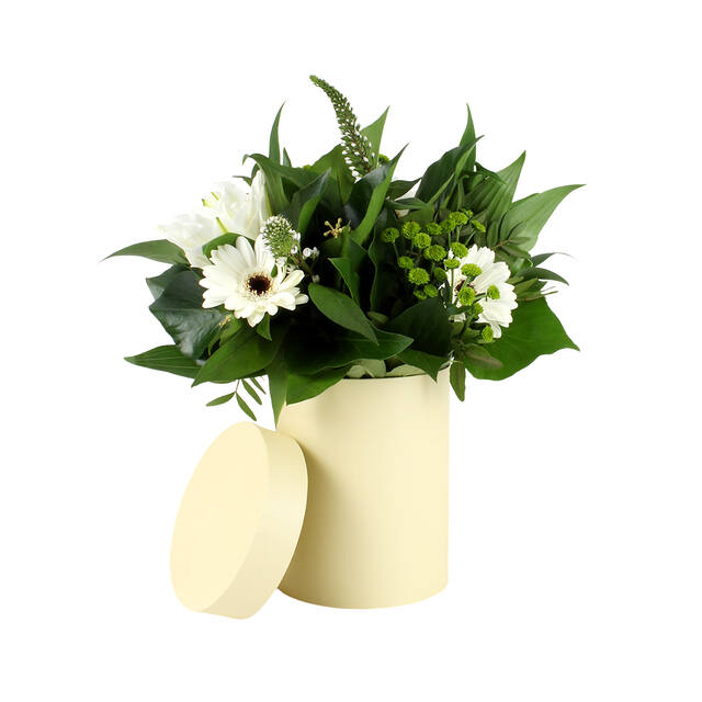 PK Photo Hatbox Pastel Yellow