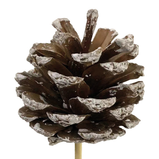 Pick Pinecone Wood 5×6 cm + 45 cm Stick – Pack of 25