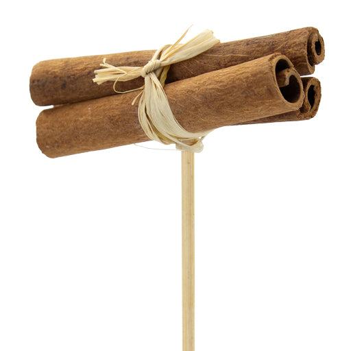 Pick Cinnamon Bundle Natural + 50 cm Stick – Pack of 25