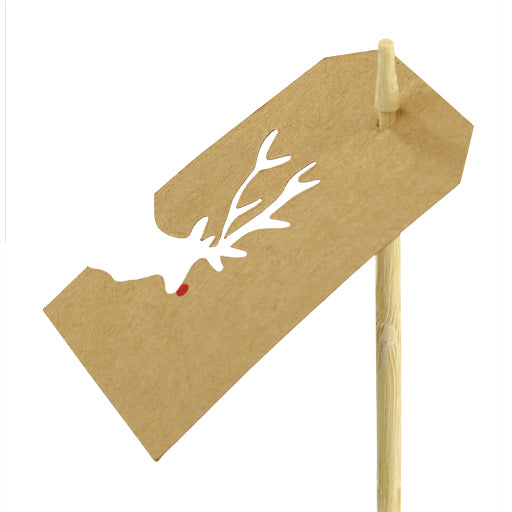 Rudolph Pick