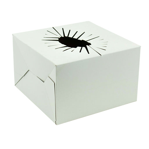 Boîte Transport Fleurs Blanche – Par 10